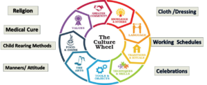 Culture wheel ims