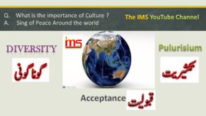 Importance of culture